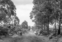 Tensions between Rwanda and the Democratic Republic of the Congo (DRC) date back to the 1994 Rwandan genocide, in which Hutu extremists slaughtered more than 800,000 Tutsis. Led by Rwanda’s President Paul Kagame, Tutsi forces ended the massacre after 100 days, prompting around a million Hutus to flee to the neighboring DRC. Since then, tensions between the two countries have been pervasive, with militias based on ethnic criteria fighting each other over the countries' precious resources. The Democratic Forces for the Liberation of Rwanda (FDLR), some of whose members were Hutus members involved in the genocide, are active in parts of eastern Congo. Since their creation in 2012, the rebel-forces M23, who are suspected to be supported by the Rwandan government, have claimed to protect the Tutsis in Congo. Since January 2025, fighting in the Democratic Republic of the Congo (DRC) has intensified, with M23 rebel forces suspected of being backed by Rwanda taking control of Goma. Despite former U.S. President Donald Trump's claim to have brokered a peace agreement between the DRC and Rwanda last June, the violence has continued, with the DRC accusing Rwanda of exploiting the instability to loot valuable resources such as coltan and gold, found in Congolese mines and essential for making phone batteries.
 
In September 2025, photographer Moises Saman traveled to Rwanda and the Democratic Republic of Congo (DRC) for the New Yorker with Jon Lee Anderson, to assess the impact of 30 years of conflict between the two countries on their people. Together, they produced extensive coverage, meeting with influential figures such as Rwanda’s president, Paul Kagame. Saman and Anderson attended a reintegration session for former members of the FDLR returning to Rwanda, and traveled to Goma and its surrounding areas where the scars of fighting are still visible. They visited rehabilitation centers supported by the ICRC and MSF hospitals, meeting wounded individuals some as young as 17, who had fought against rebels as part of the pro-Congolese government Wazalendo militia.