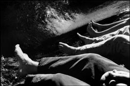 FRANCE.  Aude. August 1998.