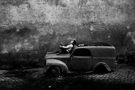 BAB1964002W00036-36.jpg